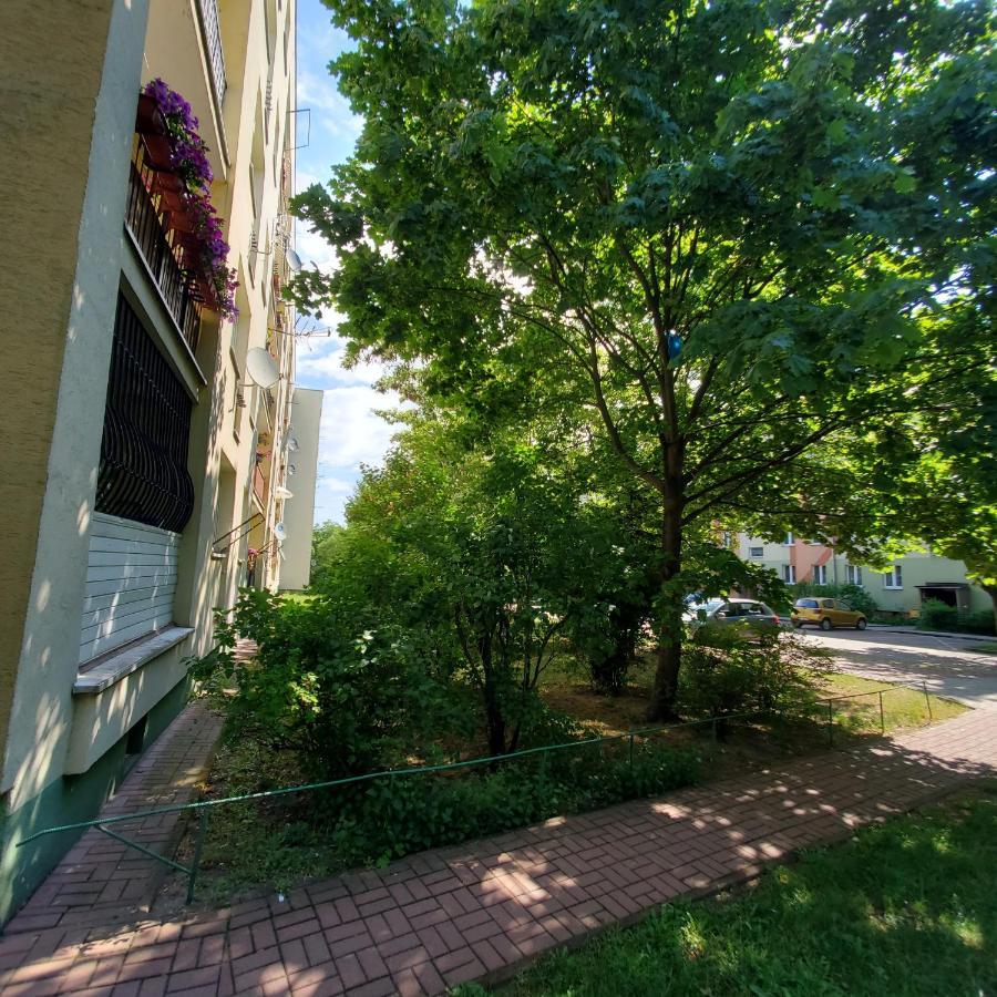 Happy Stay - Apartamentyhappy Pl Mielec Kültér fotó